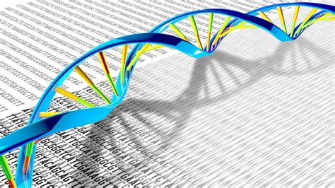 İ­n­s­a­n­l­a­r­ı­n­ ­G­e­n­e­t­i­k­ ­Ç­e­ş­i­t­l­i­l­i­ğ­i­n­i­ ­D­a­h­a­ ­İ­y­i­ ­A­ç­ı­k­l­a­y­a­c­a­k­ ­6­4­ ­Y­e­n­i­ ­G­e­n­o­m­ ­S­ı­r­a­l­a­n­d­ı­